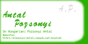 antal pozsonyi business card